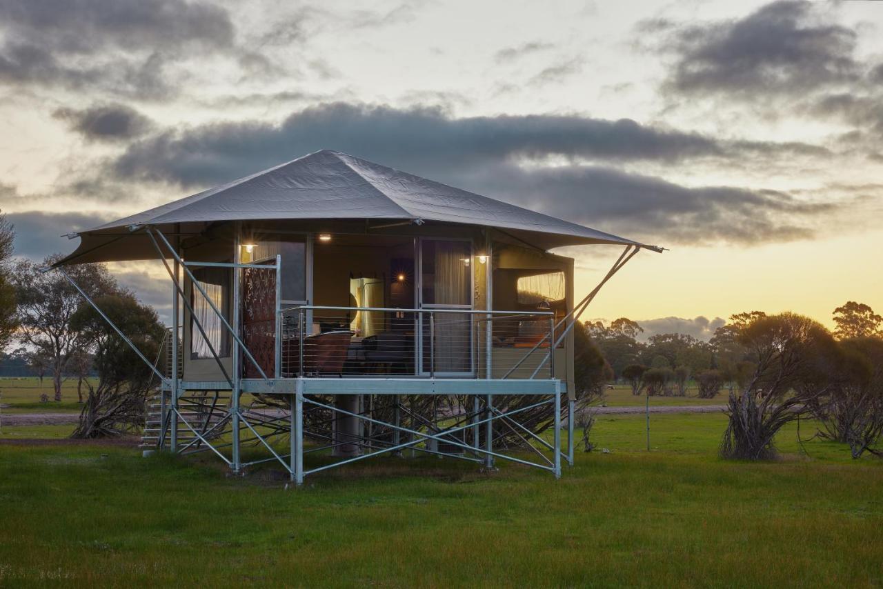 Willow Wood Glamping Retreat Luxury tent Broadwater